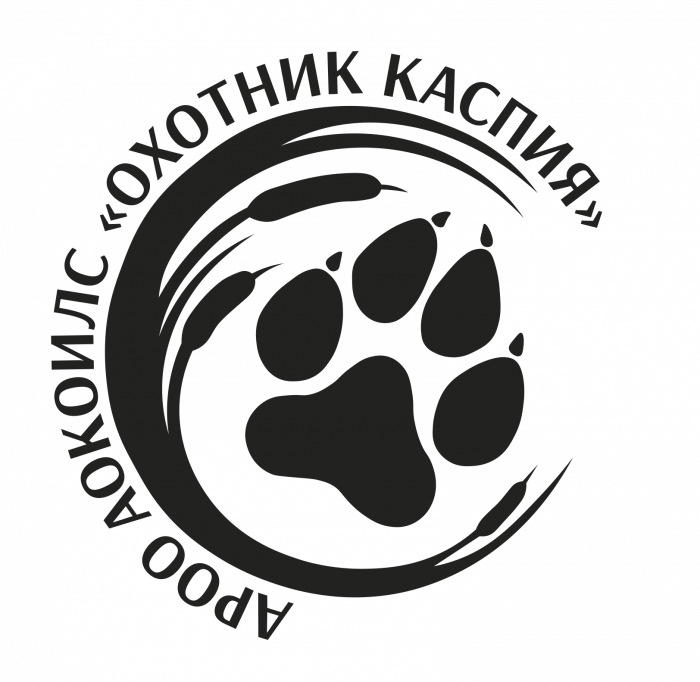  Клуб собаководства
